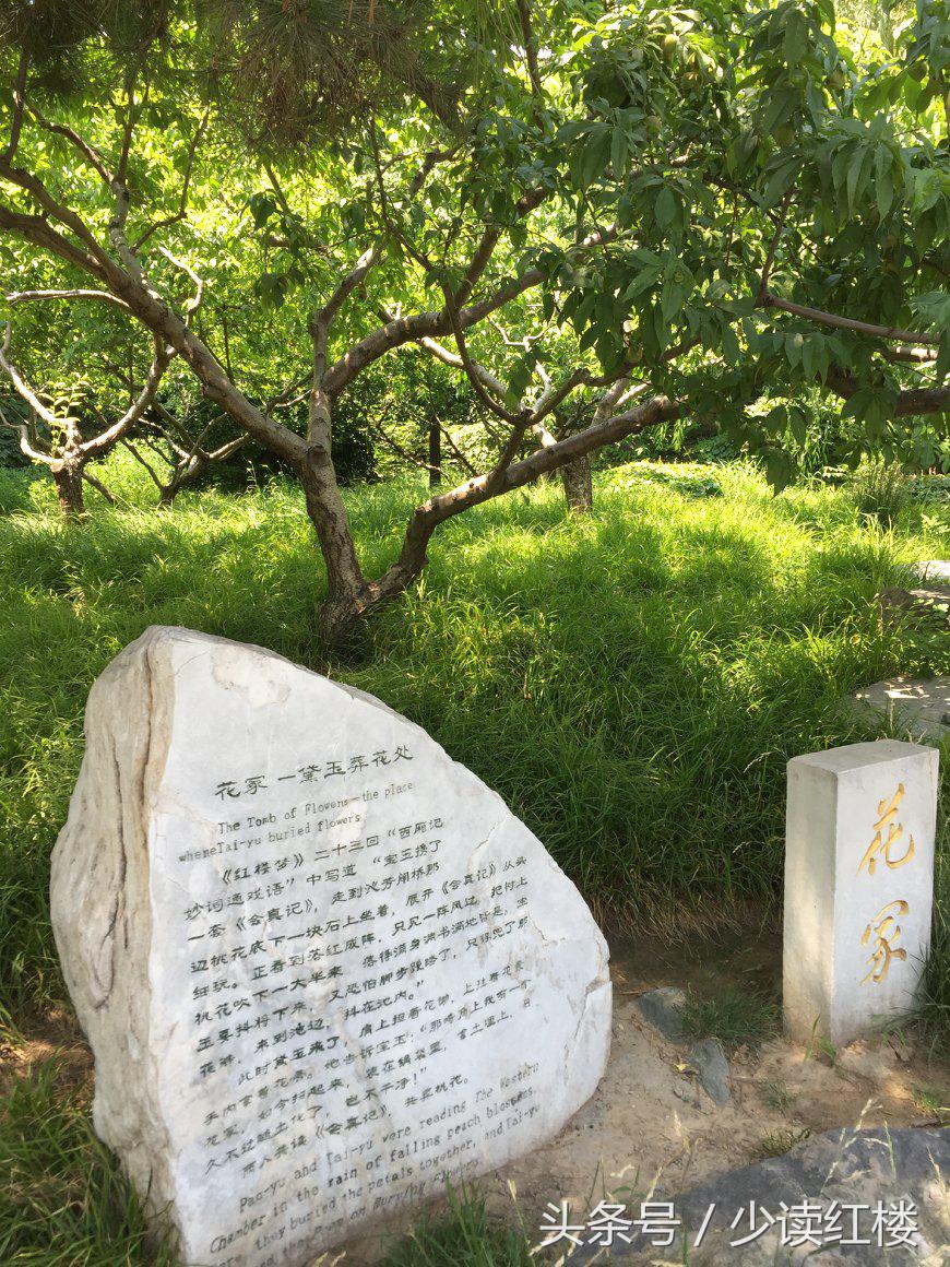 红楼梦大观园美在哪里,真正的红楼梦大观园在哪里