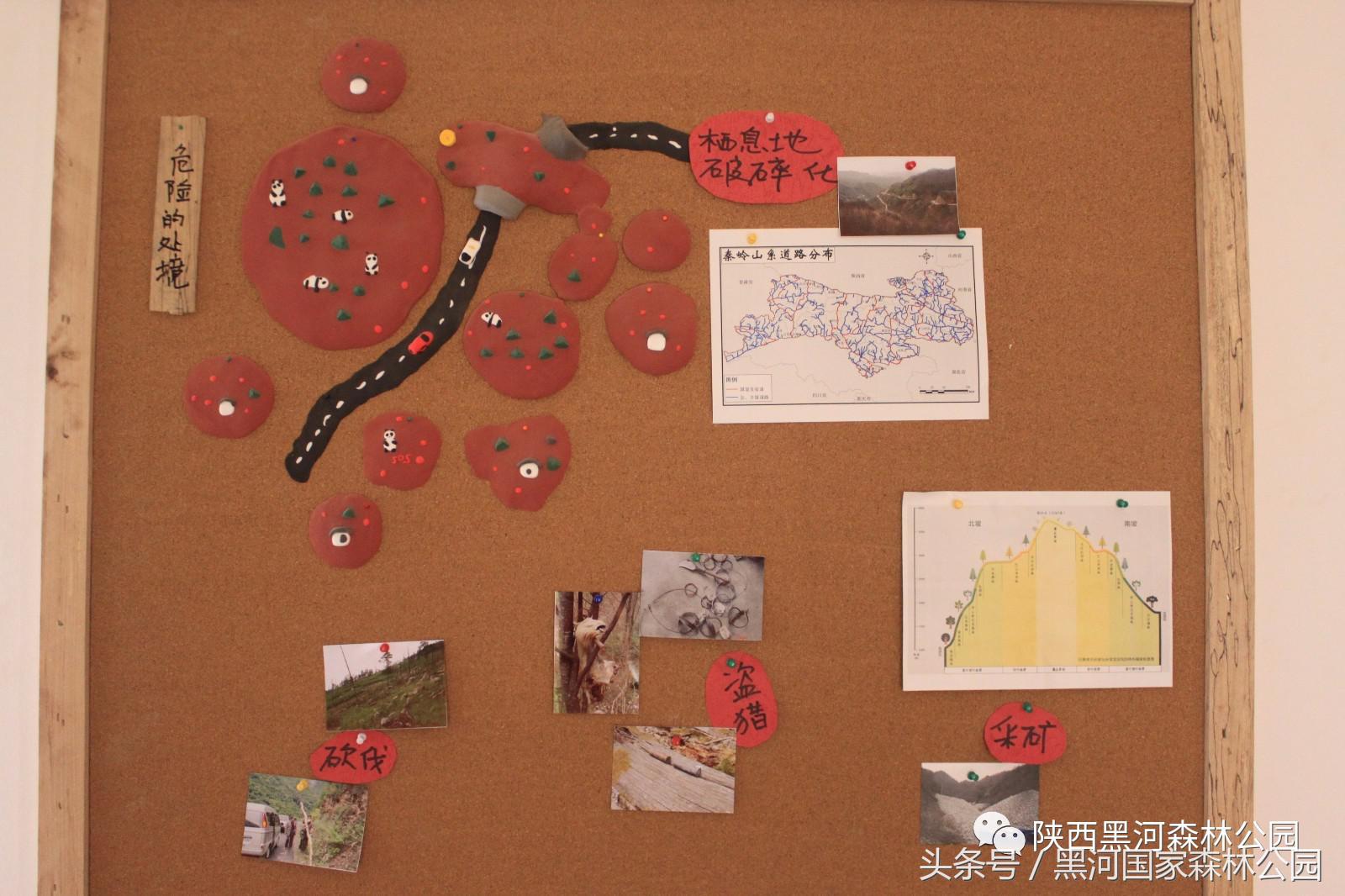 黑河风光,黑河自然风景