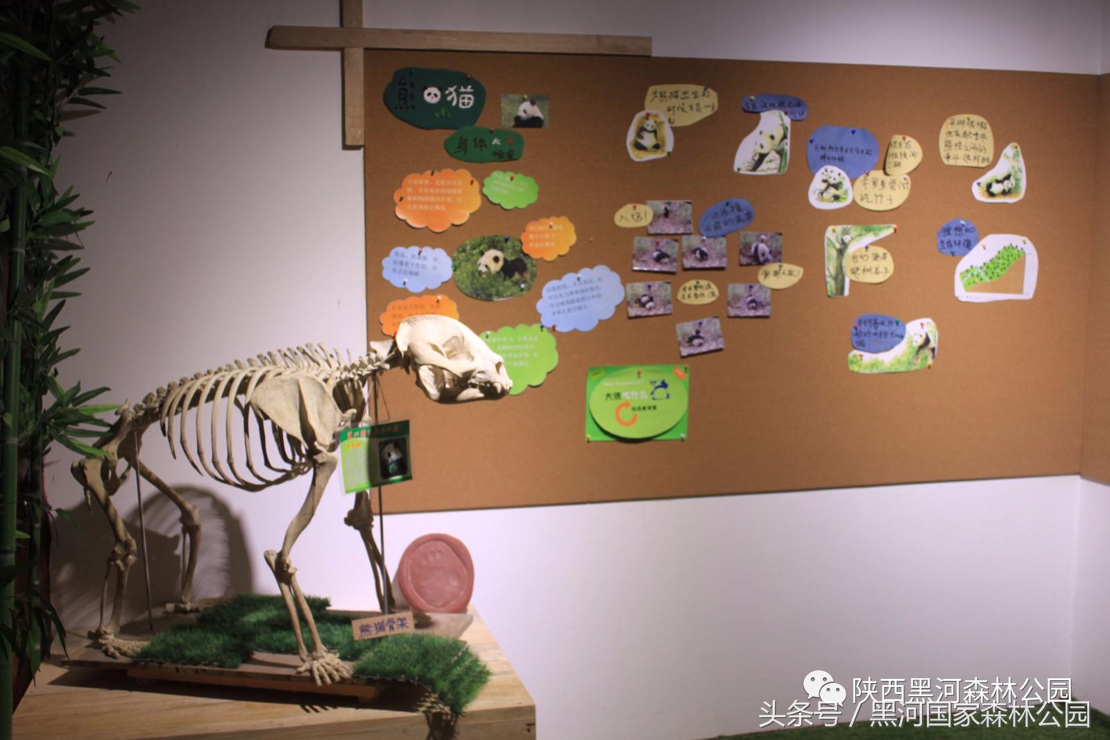 黑河风光,黑河自然风景