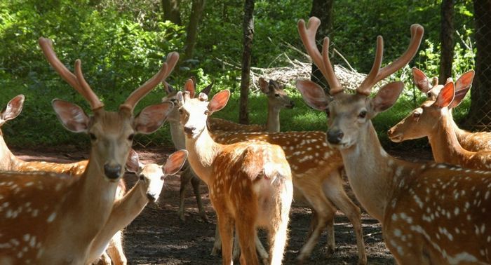 万宁兴隆居住,万宁兴隆适合居住吗