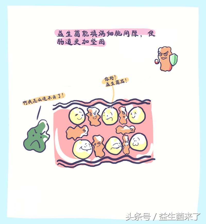 胃肠道功能紊乱有的时候肚子会叫,肚子咕噜咕噜叫是胃肠功能紊乱吗