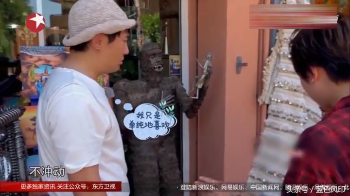 沈腾在外国买的猩猩,沈腾的奇葩经历