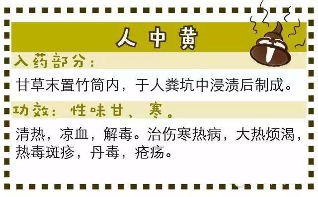 谈谈中药的奇葩事:粪便当中药,口味也太重了吧!你吃得下吗?
