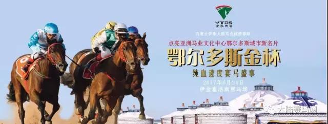 2019骞村唴钂欏彜閫熷害璧涢┈,鍐呰挋璧涢┈椹笟