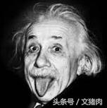 怎么可以看出狗是什么星座的,狗狗的性格代表什么星座