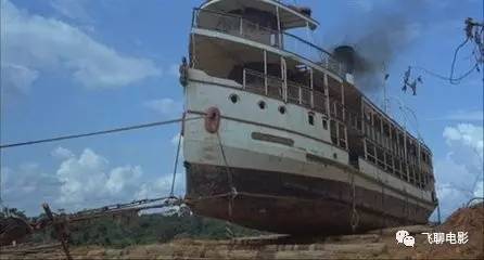 一头倔强的驴子,一头倔强的驴