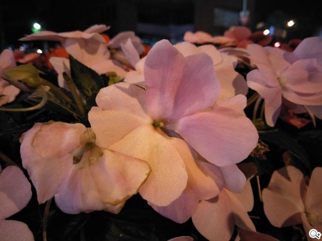 oppoa57开箱体验,oppoa57手机开箱