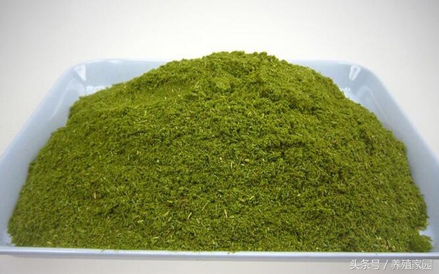 养鸡最省钱的饲料配方,养鸡专用饲料加工与配方