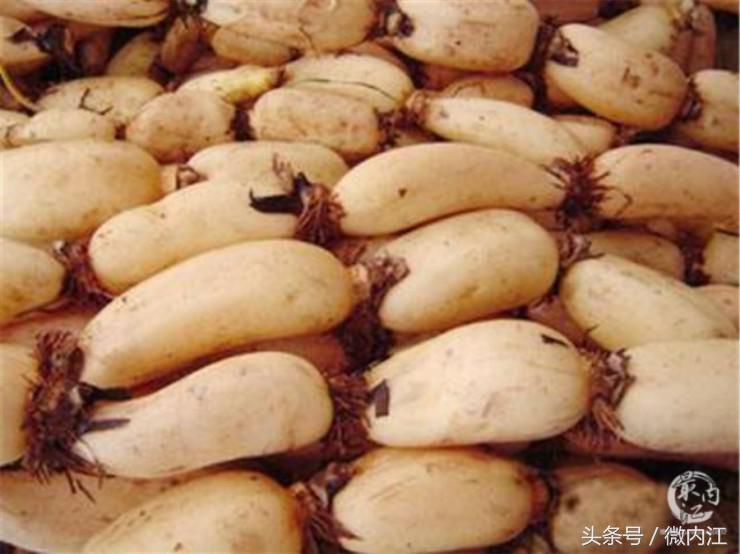 隆昌市创建天府旅游名县有望吗,内江市隆昌市第一大镇是哪里