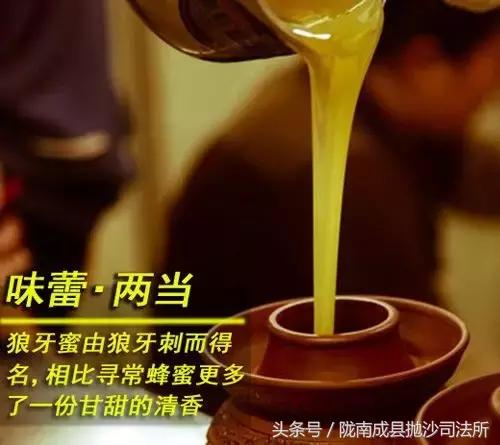 大美陇南是我的故乡,大美陇南风景如画