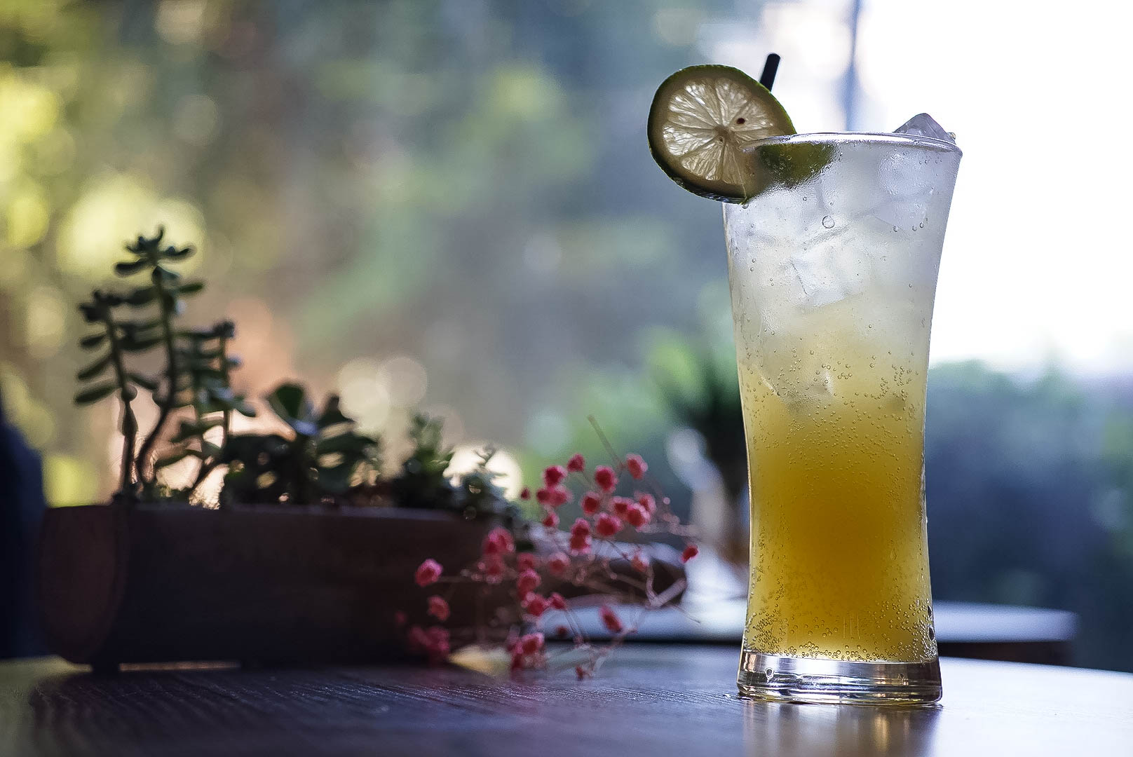 火爆Instagram的美食界艺术品，竟然在厦门……