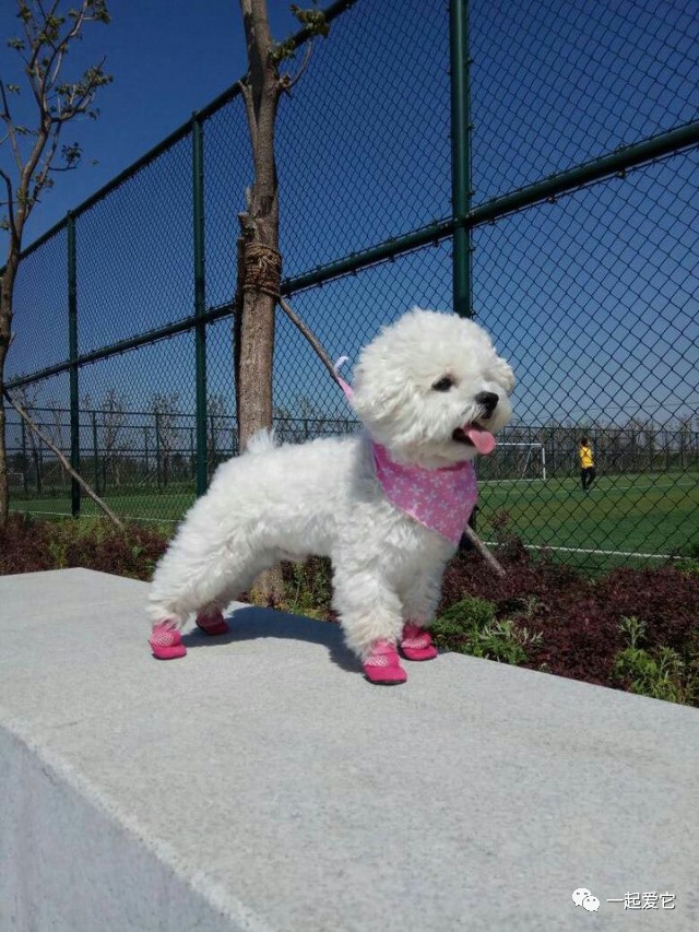 宠爱故事100个,宠爱剧情梗概