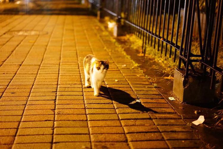 做一个互联网公司要多少钱,做一个互联网行业