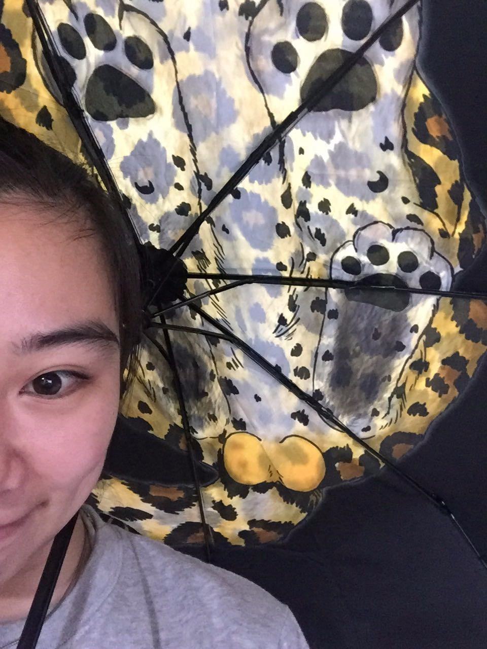 怎么加入猫盟,猫盟百科全书