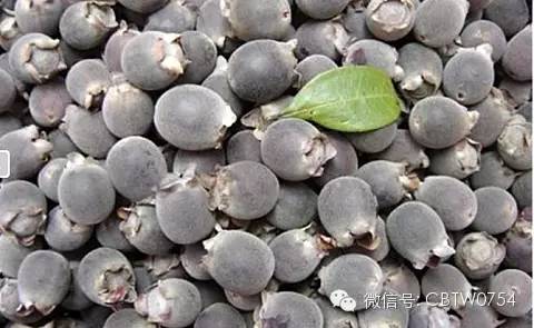 只有潮汕人才看得懂的视频,只有潮汕人才看得懂的水果名称