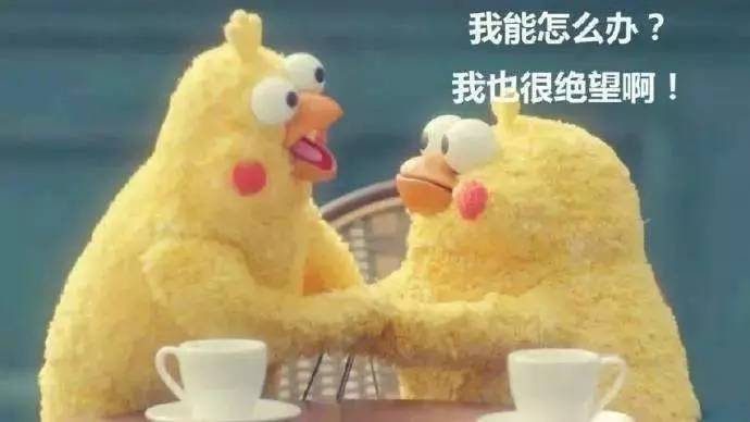 脑筋急转弯数学为什么会0分,脑筋急转弯6门都考0分