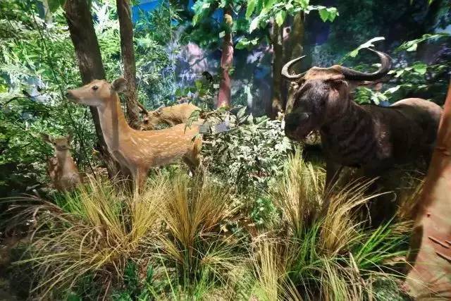 宜昌一中实景,航拍宜昌一中新校区