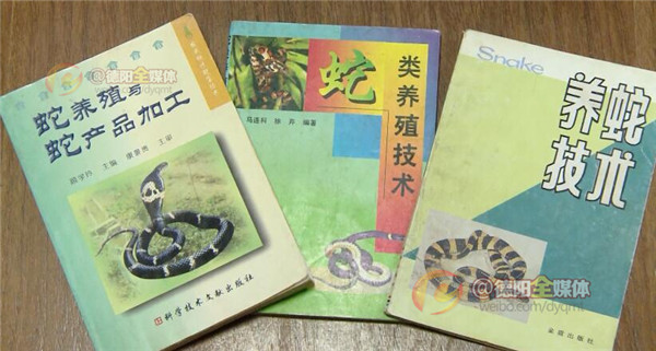 世界上最大的蛇被放生,四川德阳发现蛇