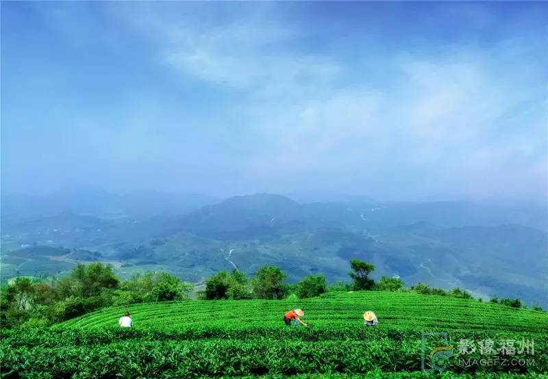 游茶山,游茶山竹海