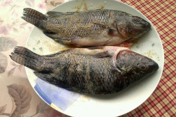 香煎鲫鱼用什么鱼最好,香煎鲫鱼汤