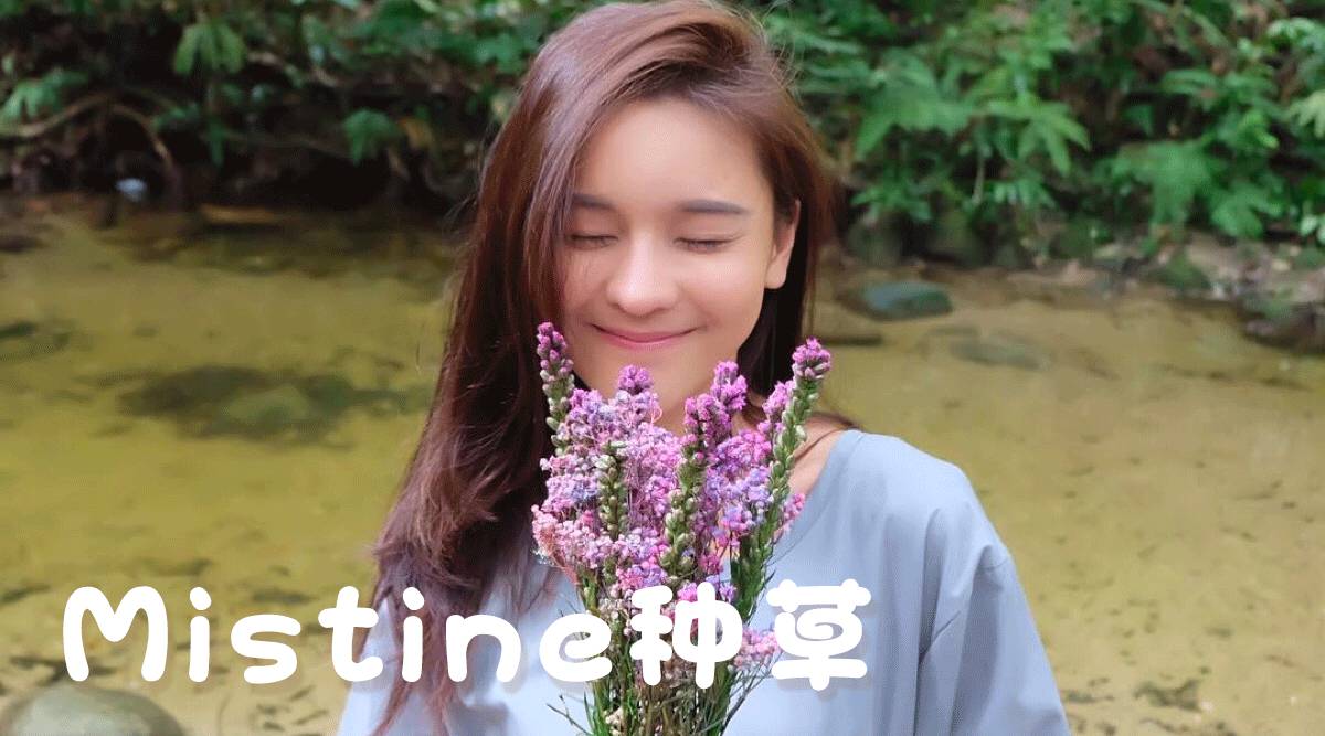 泰国正品彩妆产品推荐,超便宜的彩妆2元