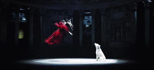 这是我看过最美的R级片