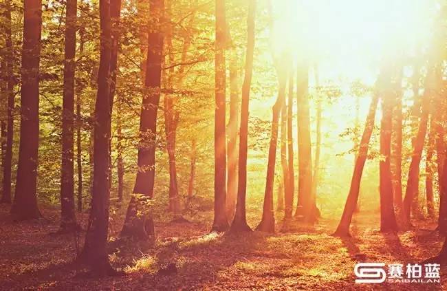 77家药企核查处理结果,45家药企被评价