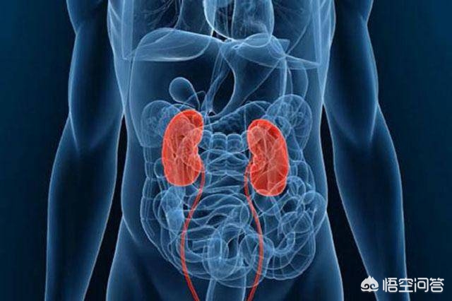 糖尿病肾病的防治,糖尿病肾病专家防治共识