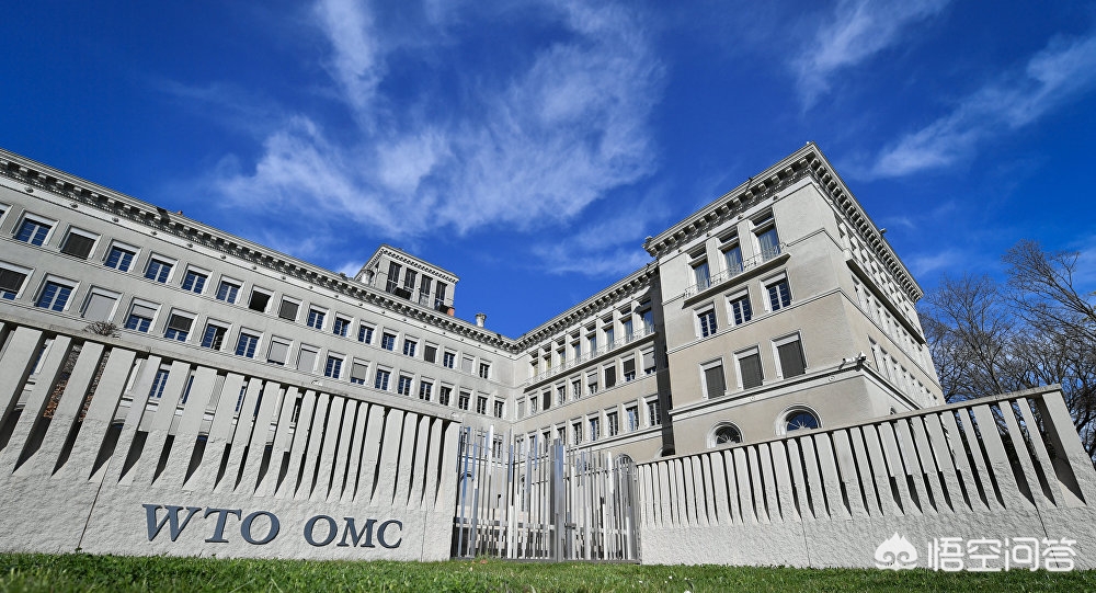 瑞士全部在山区为什么这么发达,瑞士小国为什么富有