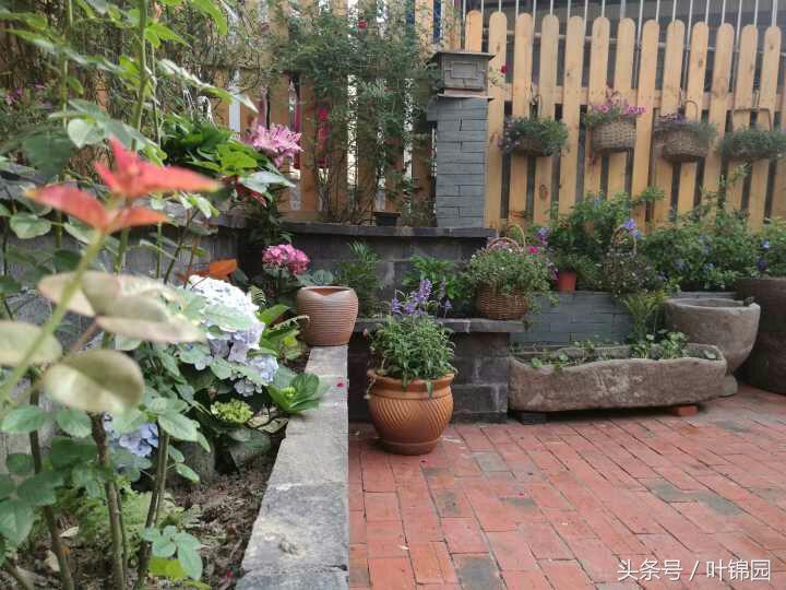 锦园，心得自在呼吸