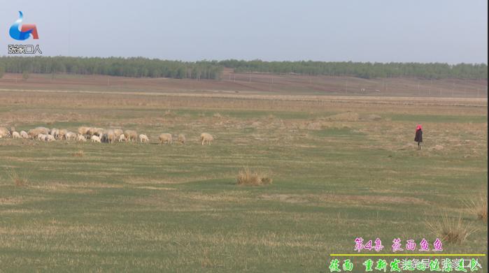 看农村大嫂搓莜面鱼鱼，就像读五线谱一样，莜面鱼鱼确实很好吃，再配上羊肉蘑菇汤，真是一绝！