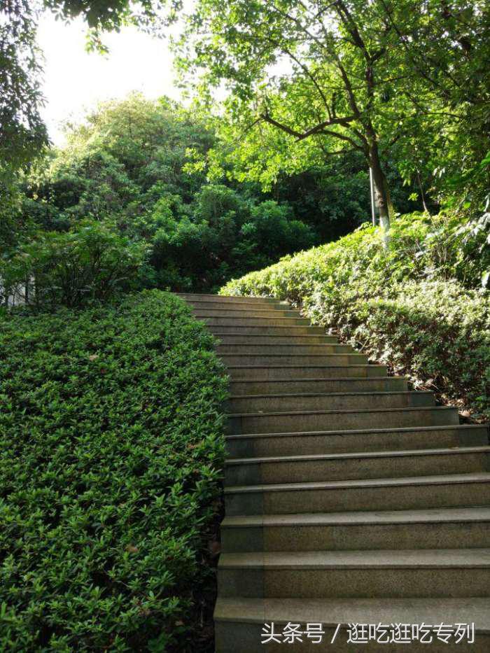 广州生物岛叠翠园门票,广州市黄埔区国际生物岛