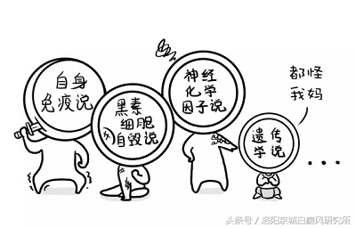 白癜风是什么科普动画,白癜风详细介绍