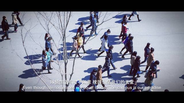我的大学我的专业,我的大学专业