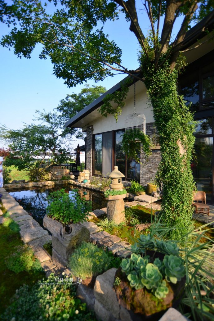 鎷滆涓滅鑽夊爞,鑺卞洯鎷滆