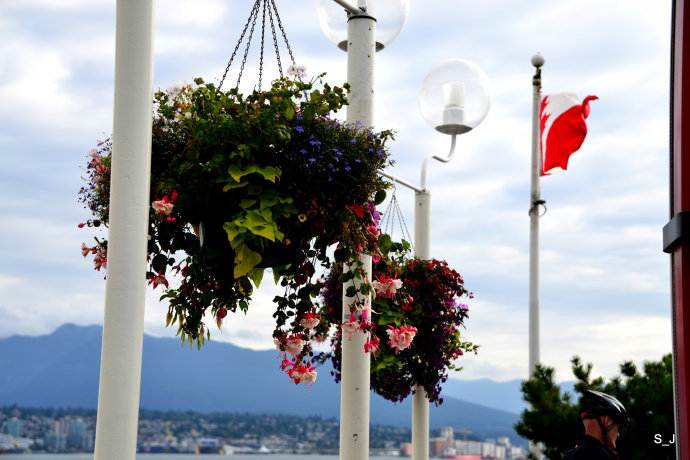 加拿大国庆一日游,加拿大浪漫美丽之地