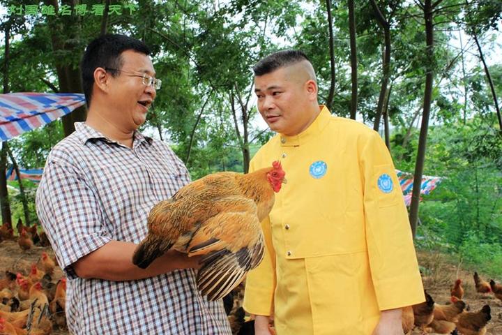 游机鸡是什么东西？吸引一群厨王跑到南宁农村吃