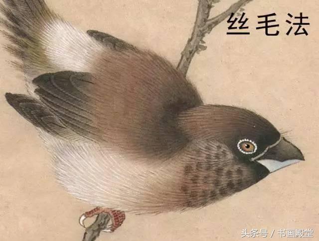 工笔画教学花卉,工笔画教学基础知识4