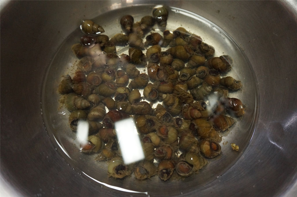 农村妇女下河摸螺蛳,农村男生在河里摸螺蛳