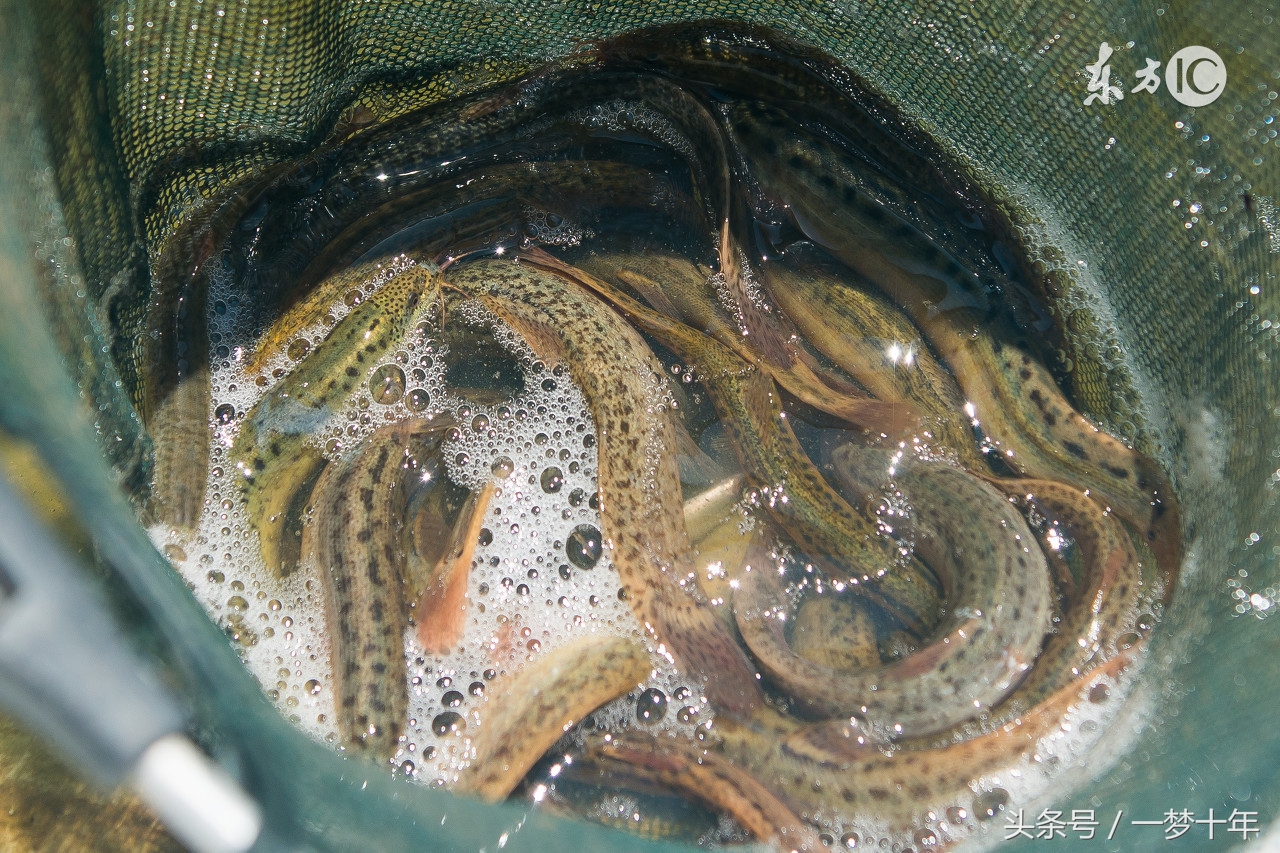 日本真人超级变态电影介绍由于画面恐怖所以没有上传电影本身图片请自行搜索