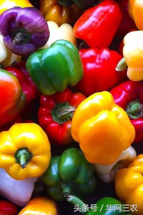 缅甸特产吃过3种算你牛？台州土特产出名啦看看有没有你老家的？网购的土特产都是家乡的味道？忻州特产？