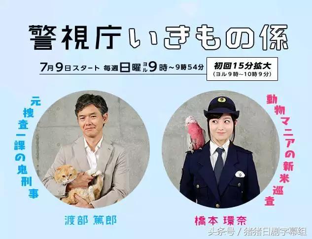 夏季日剧收视,2017夏季日剧表