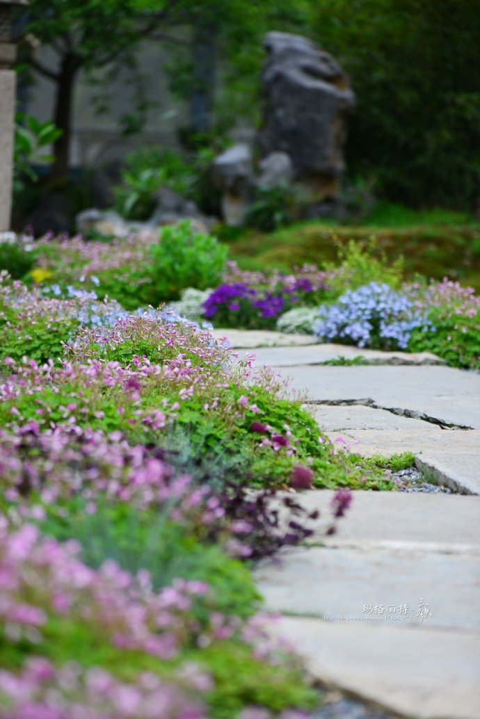 鎷滆涓滅鑽夊爞,鑺卞洯鎷滆