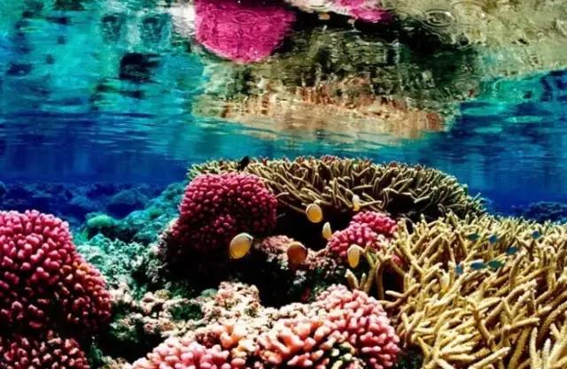 马来西亚五日游吉隆坡槟城仙本那,马来西亚仙本那和槟城哪个值得去