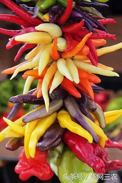 缅甸特产吃过3种算你牛？台州土特产出名啦看看有没有你老家的？网购的土特产都是家乡的味道？忻州特产？