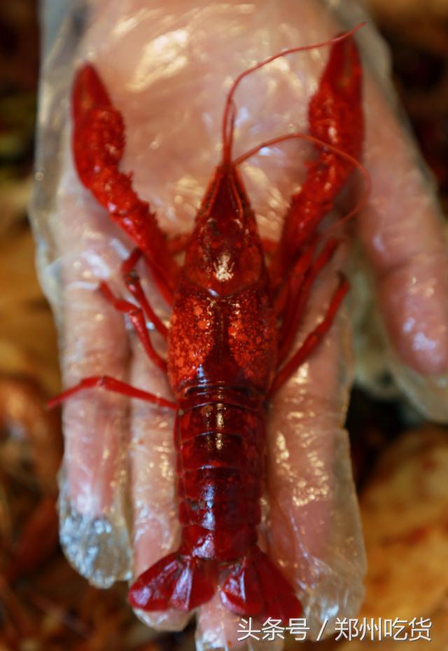 WTF？去南阳路吃海鲜，服务员把菜倒桌上就走，连筷子都没有？