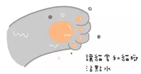 猫咪好活泼怎么办,猫咪好热用嘴呼吸