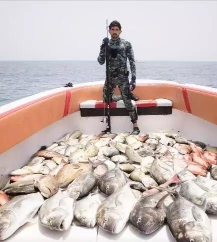 沙特最帅王子哈曼丹,阿联酋王子哈曼丹照片