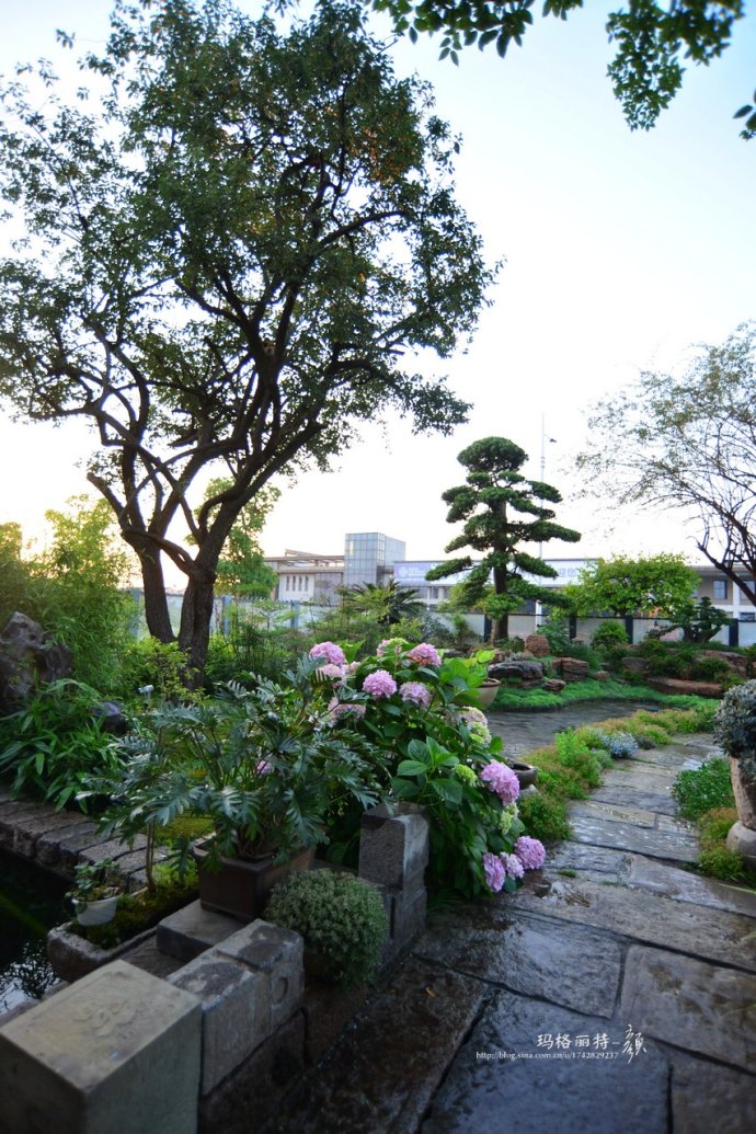 鎷滆涓滅鑽夊爞,鑺卞洯鎷滆