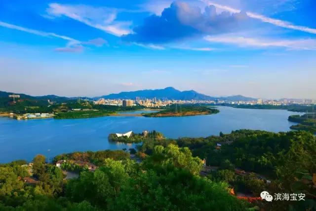 看了广州深圳之后感受,看深圳这几年后的感受